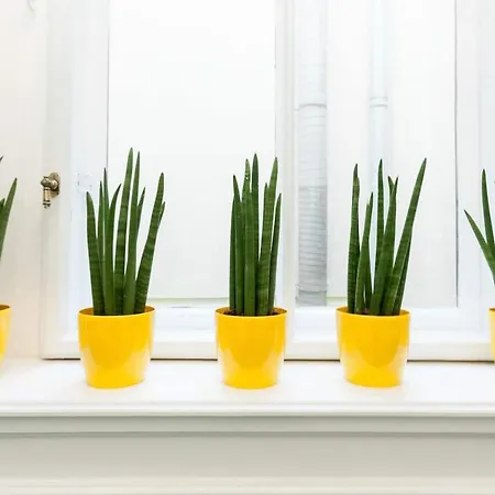 Bpr Sophisticated Astoria With Balcony Διαμέρισμα Βουδαπέστη